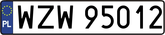 WZW95012