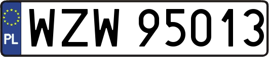 WZW95013