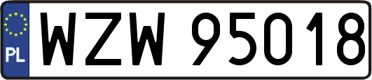WZW95018