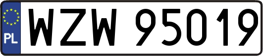 WZW95019