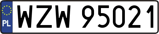 WZW95021
