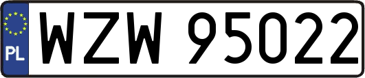 WZW95022