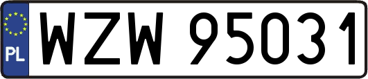 WZW95031