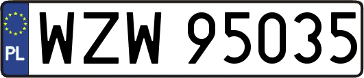 WZW95035