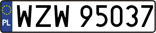 WZW95037