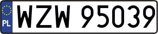 WZW95039