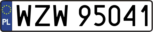 WZW95041