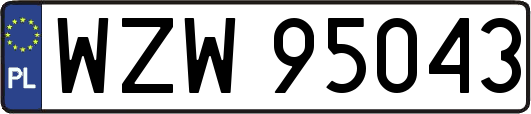 WZW95043