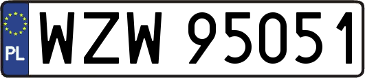 WZW95051
