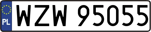 WZW95055