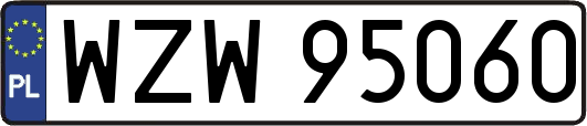 WZW95060