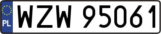 WZW95061