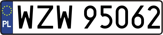WZW95062