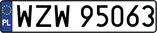 WZW95063