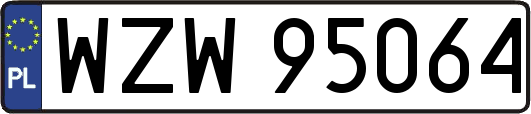 WZW95064