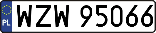 WZW95066
