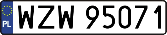 WZW95071