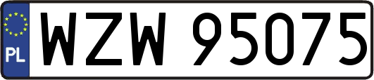 WZW95075
