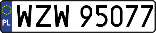 WZW95077