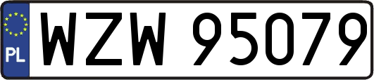 WZW95079