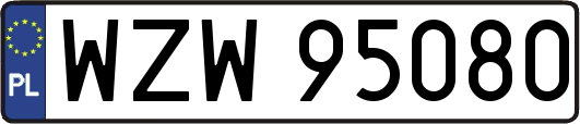 WZW95080