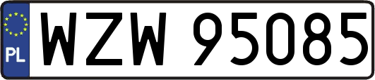WZW95085