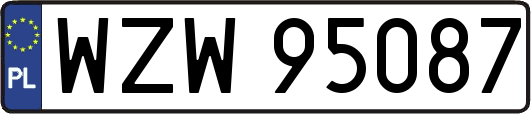 WZW95087