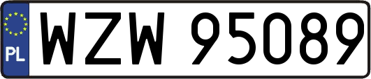WZW95089