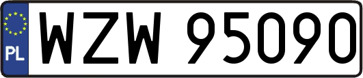WZW95090