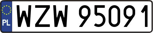 WZW95091