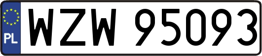 WZW95093