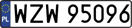 WZW95096