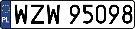 WZW95098