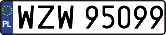 WZW95099