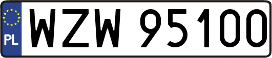 WZW95100