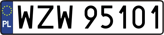 WZW95101