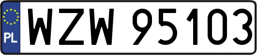WZW95103