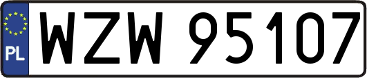 WZW95107