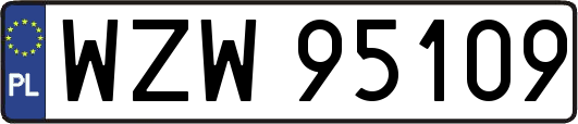WZW95109