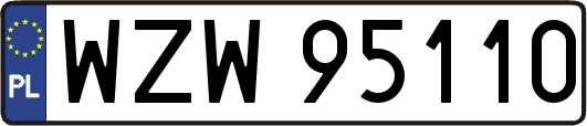WZW95110