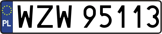 WZW95113