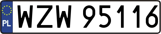 WZW95116