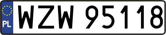WZW95118