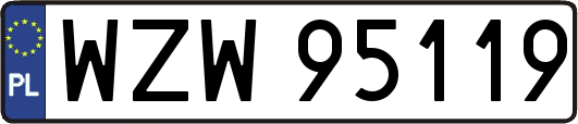 WZW95119