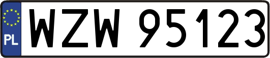 WZW95123
