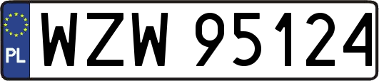 WZW95124