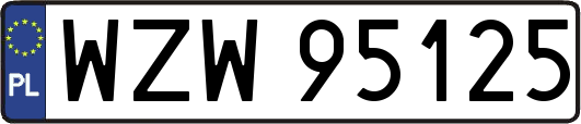 WZW95125