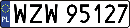 WZW95127