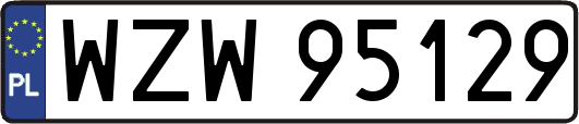 WZW95129