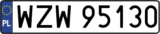 WZW95130